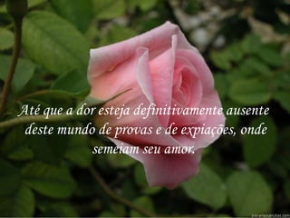 Até que a dor esteja definitivamente ausente  deste mundo de provas e de expiações, onde semeiam seu amor.  