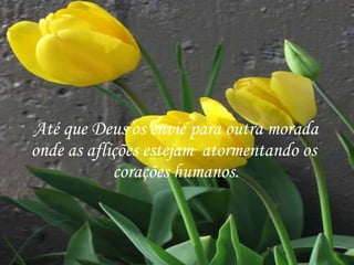 Até que Deus os envie para outra morada onde as aflições estejam  atormentando os  corações humanos. 