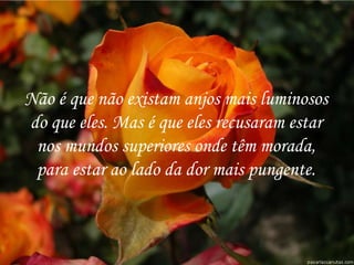 Não é que não existam anjos mais luminosos do que eles. Mas é que eles recusaram estar nos mundos superiores onde têm morada, para estar ao lado da dor mais pungente. 