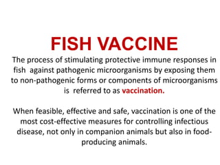 FISH VACCINE
The process of stimulating protective immune responses in
fish against pathogenic microorganisms by exposing them
to non-pathogenic forms or components of microorganisms
is referred to as vaccination.
When feasible, effective and safe, vaccination is one of the
most cost-effective measures for controlling infectious
disease, not only in companion animals but also in food-
producing animals.
 