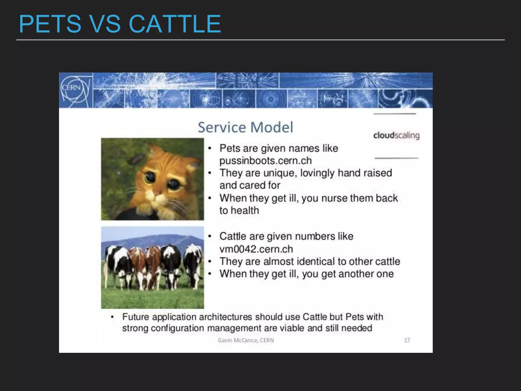 PETS VS CATTLE
 