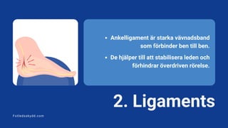 2. Ligaments
Fotledsskydd.com
Ankelligament är starka vävnadsband
som förbinder ben till ben.
De hjälper till att stabilisera leden och
förhindrar överdriven rörelse.
 