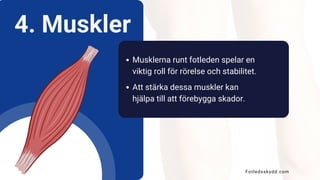 4. Muskler
Musklerna runt fotleden spelar en
viktig roll för rörelse och stabilitet.
Att stärka dessa muskler kan
hjälpa till att förebygga skador.
Fotledsskydd.com
 