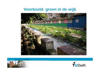 Voorbeeld: groen in de wijk




prof. Anke van Hal MSc PhD
 