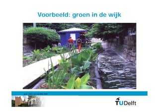 Voorbeeld: groen in de wijk




prof. Anke van Hal MSc PhD
 