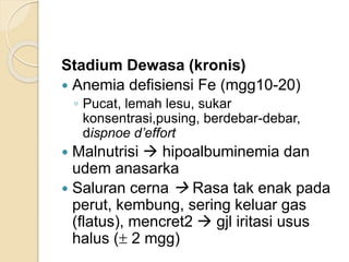 Stadium Dewasa (kronis)
 Anemia defisiensi Fe (mgg10-20)
◦ Pucat, lemah lesu, sukar
konsentrasi,pusing, berdebar-debar,
dispnoe d’effort
 Malnutrisi  hipoalbuminemia dan
udem anasarka
 Saluran cerna  Rasa tak enak pada
perut, kembung, sering keluar gas
(flatus), mencret2  gjl iritasi usus
halus ( 2 mgg)
 
