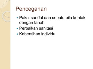 Pencegahan
 Pakai sandal dan sepatu bila kontak
dengan tanah
 Perbaikan sanitasi
 Kebersihan individu
 