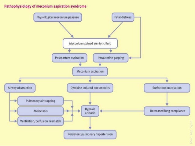 download principles and methods for the assessment of risk from essential trace elements: environmental health criteria series no. 228 (environmental healt criteria)