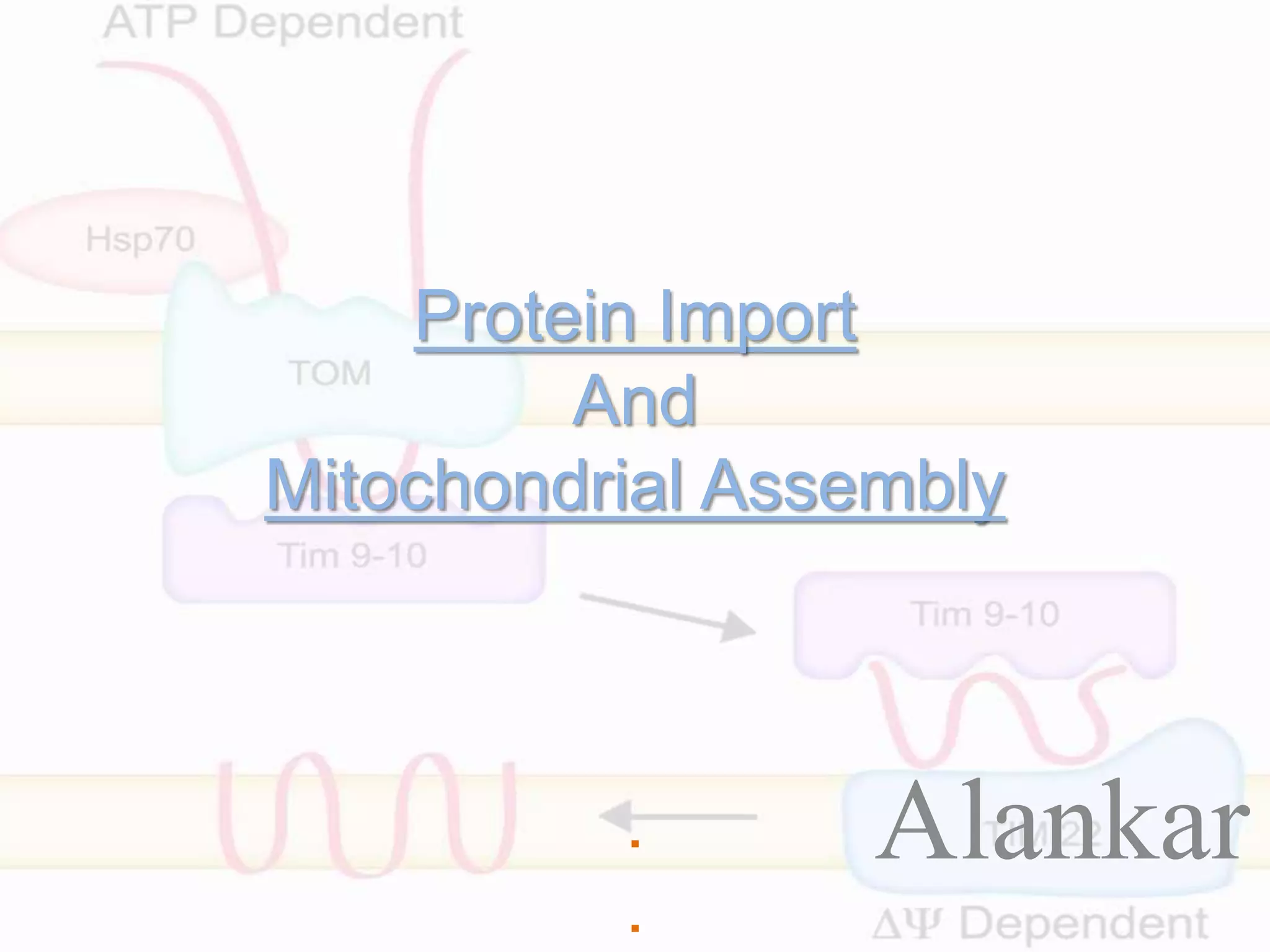 Protein Import & Mitochondrial Assembly | PPT