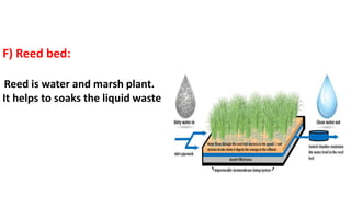 F) Reed bed:
Reed is water and marsh plant.
It helps to soaks the liquid waste
 