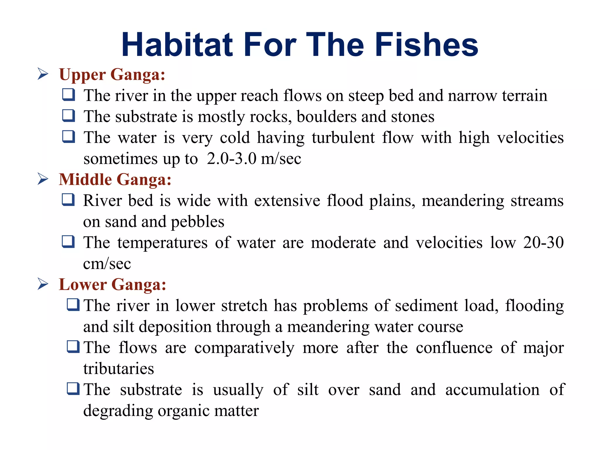 Habitat For The Fishes
 Upper Ganga:
 The river in the upper reach flows on steep bed and narrow terrain
 The substrate is mostly rocks, boulders and stones
 The water is very cold having turbulent flow with high velocities
sometimes up to 2.0-3.0 m/sec
 Middle Ganga:
 River bed is wide with extensive flood plains, meandering streams
on sand and pebbles
 The temperatures of water are moderate and velocities low 20-30
cm/sec
 Lower Ganga:
The river in lower stretch has problems of sediment load, flooding
and silt deposition through a meandering water course
The flows are comparatively more after the confluence of major
tributaries
The substrate is usually of silt over sand and accumulation of
degrading organic matter
 