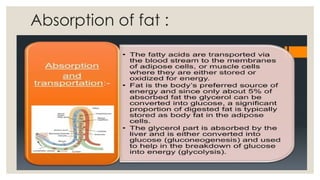 Ankita - Snehana ^M metabolism of Fat.pptx