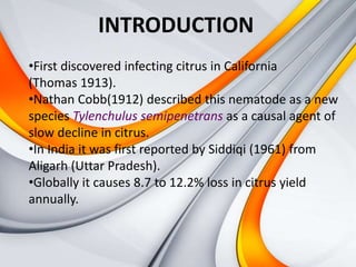 Time to Check Under the Hood for Nematodes - Citrus Industry Magazine