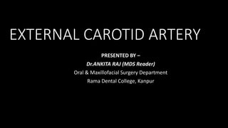 EXTERNAL CAROTID ARTERY
PRESENTED BY –
Dr.ANKITA RAJ (MDS Reader)
Oral & Maxillofacial Surgery Department
Rama Dental College, Kanpur
 