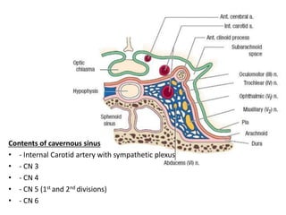 CAVERNOUS SINUS THROMBOSIS PPTX