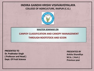 MASTER SEMINAR ON
CANPOY CLASSIFICATION AND CANOPY MANAGEMENT
THROUGH ROOTSTOCK AND SCION
INDIRA GANDHI KRISHI VISHVAVIDYALAYA
COLLEGE OF AGRICULTURE, RAIPUR (C.G.)
PRESENTED TO
Dr. Prabhakar Singh
( Professor and Head )
Dept. Of Fruit Science
PRESENTED BY
Ankita Shandilya
M.Sc. ( Hort.)
Previous year
 