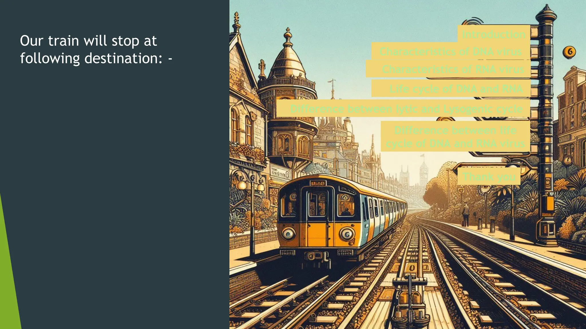 Characteristic and life cycle of DNA and RNA.pptx