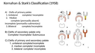A brief description of anatomy , classification and surgeries in cleft ...