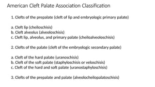 A brief description of anatomy , classification and surgeries in cleft ...