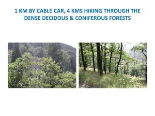 1 KM BY CABLE CAR, 4 KMS HIKING THROUGH THE
DENSE DECIDOUS & CONIFEROUS FORESTS
 