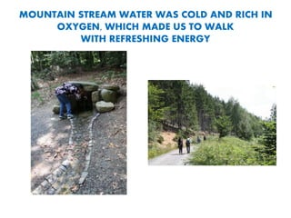 MOUNTAIN STREAM WATER WAS COLD AND RICH IN
OXYGEN, WHICH MADE US TO WALK
WITH REFRESHING ENERGY
 
