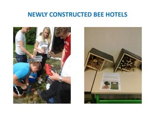 NEWLY CONSTRUCTED BEE HOTELS
 