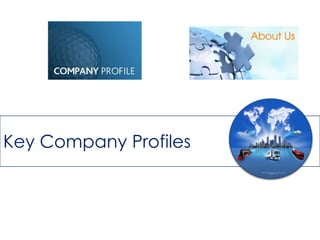Key Company Profiles
 