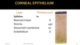 Layer Thickness (mm)
Epithelium 60
Bowman’s layer 6
Stroma 450
Descemet’s membrane 10
Endothelium 6
14 July 2020 Optom.AnkitVarshney 30
 