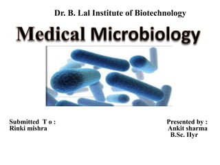 Submitted T o : Presented by :
Rinki mishra Ankit sharma
B.Sc. IIyr
Dr. B. Lal Institute of Biotechnology
 