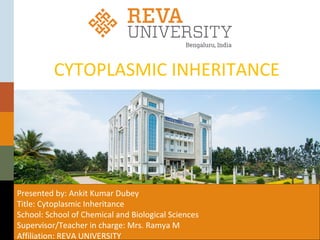 CYTOPLASMIC INHERITANCE
Presented by: Ankit Kumar Dubey
Title: Cytoplasmic Inheritance
School: School of Chemical and Biological Sciences
Supervisor/Teacher in charge: Mrs. Ramya M
Affiliation: REVA UNIVERSITY
 