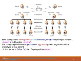 CYTOPLASMIC INHERITANCE | PPT