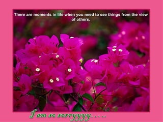 There are moments in life when you need to see things from the view of others. 