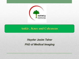 Ankle , Knee and Calcaneus
Hayder Jasim Taher
PhD of Medical Imaging
 