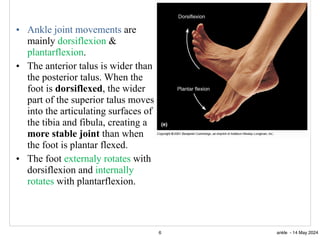 ankle. By manar makhamreh. …………….. | PDF