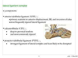 ankle. By manar makhamreh. …………….. | PPT