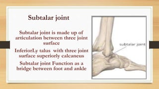 Subtalar Union Ankle joint and tibiofibular joint | PPTX
