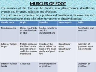 Ankle anatomy and biomechanics | PDF