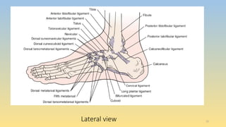 Ankle and foot assessment for physiotherapy | PPTX
