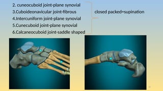 Ankle and foot assessment for physiotherapy | PPTX