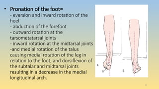 Ankle and foot assessment for physiotherapy | PPTX