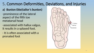 Ankle and foot assessment for physiotherapy | PPTX