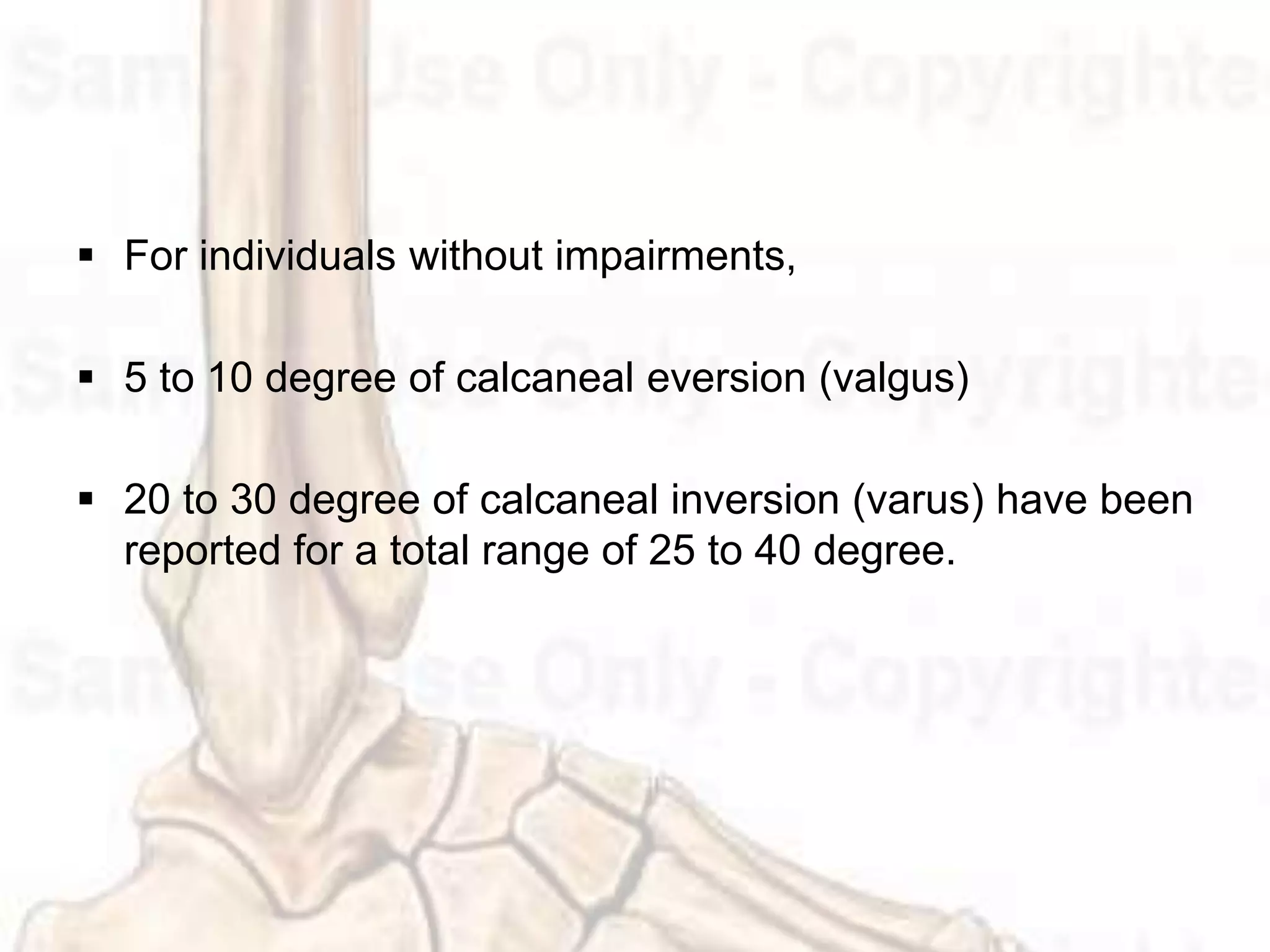 Ankle and foot complex | PPTX
