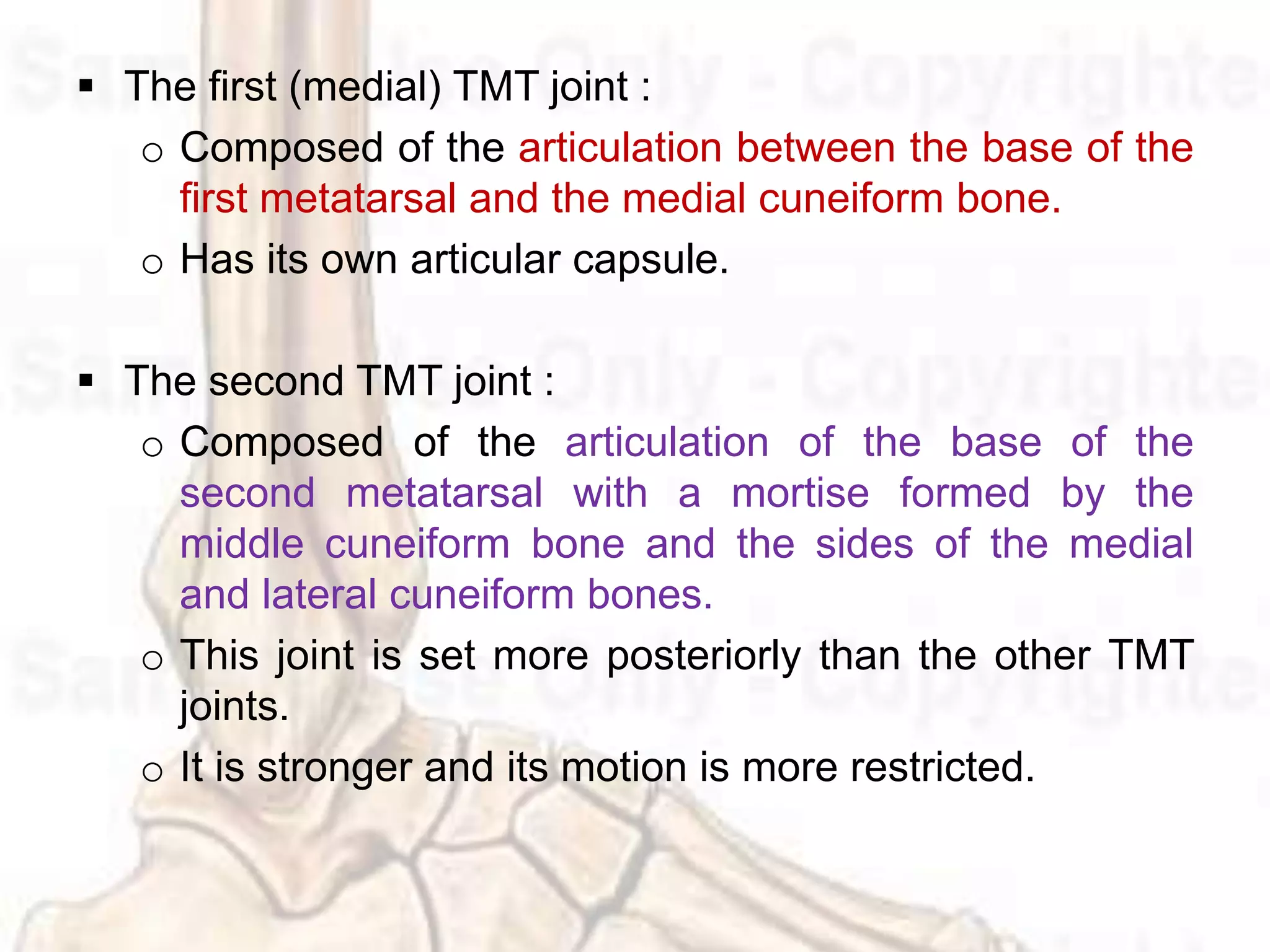 Metatarsal Modifiers Ankle and foot complex | PPTX