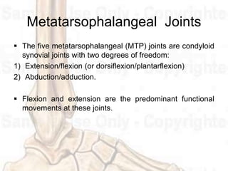 Metatarsophalangeal Joints
 The five metatarsophalangeal (MTP) joints are condyloid
synovial joints with two degrees of freedom:
1) Extension/flexion (or dorsiflexion/plantarflexion)
2) Abduction/adduction.
 Flexion and extension are the predominant functional
movements at these joints.
 