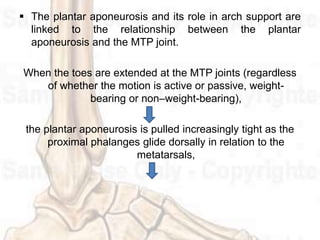 • Because the transverse tarsal joint is locked along with
the subtalar joint, the TMT joints are responsible with
attempt...
