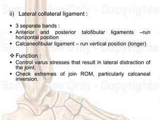  Tension in the tibialis anterior, extensor hallucis longus,
and extensor digitorum longus muscles is the primary
limit t...