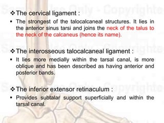  Subtalar neutral :
 The point at which the midlines of the posterior
calcaneus and the posterior leg coincide.
 Medial...