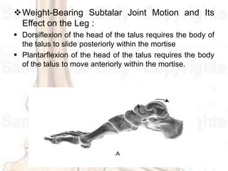 Weight-Bearing Hindfoot Pronation and
Transverse Tarsal Joint Motion :
In the weight-bearing position, medial rotation of...