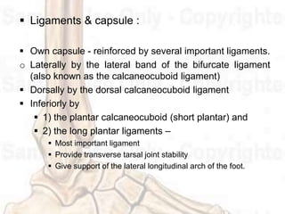 Ankle and foot complex | PPT