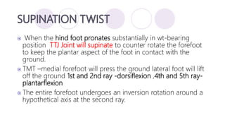 Ankle and foot complex | PPTX